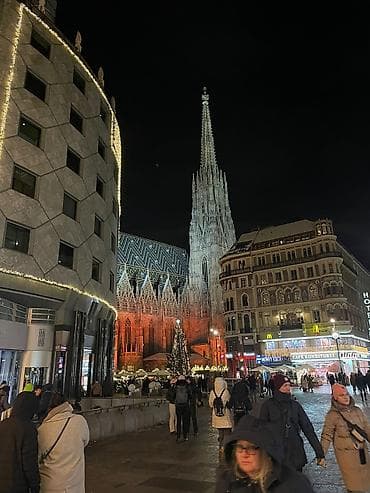 Tədbirlərin təşkili: Peşəkar tur xidməti – Vyana mərkəzində gecə və gündüz Təsvir: - — 6