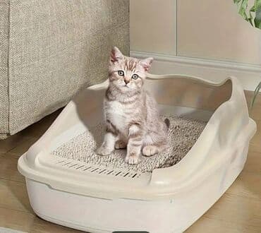 Bio-tualetlər və doldurucular: Yaxwi veziyyetdedir baha alinib real alici elaqe saxlasin — 1