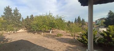 sulutəpə çiçək qəsəbəsi: 8 sot, Tikinti, Makler, Kupça (Çıxarış) — 1