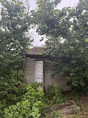 sibrizde evler: Xaçmaz, 3000 kv. m, 3 otaqlı, Qaz, Su, İnternet — 10