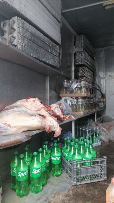 Subaru: Soyuducu tirkəməli qoşqu – mobil soyuducu anbar - Tip: 2 oxlu tirkəmə — 5