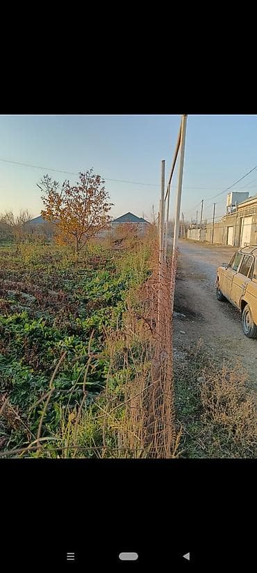 28 may otag yoldasi: Tikinti, Kupça (Çıxarış) — 1