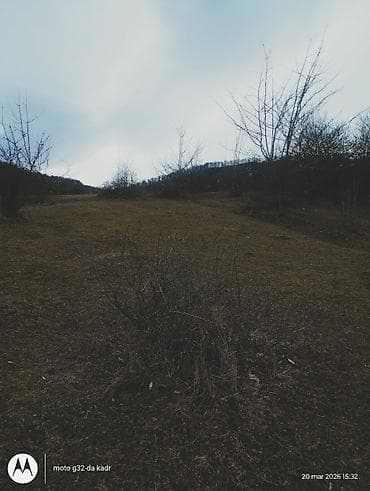 turkanda heyet evleri 2020: Kənd təsərrüfatı — 7