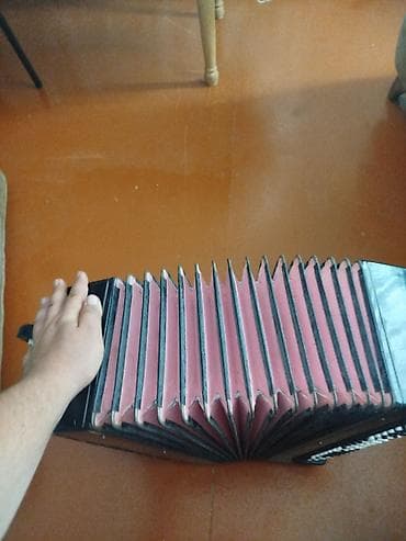 Bayandır tipli knopf akkordeon – “Sirius 205” - Korpus: qara korpus lalafo.az -da Bayandır tipli knopf akkordeon – “Sirius 205” - Korpus: qara korpus