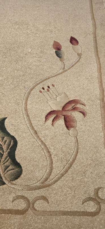 Otaq bitkiləri: Xalça Dekorativ, Kredit yoxdur — 2