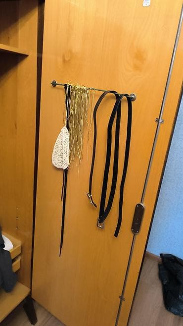 iwlenmiw wkaf: Dolab, icinde guzgu qapinin bir terefinde, o biri terefinde qayish — 5