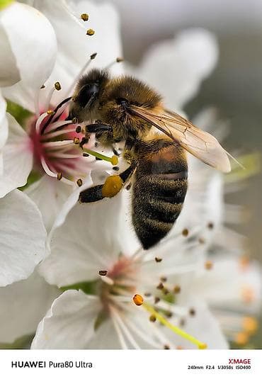 huawei p50 qiyməti: Huawei Pura 70 Ultra, 512 GB, rəng - Qızılı — 4