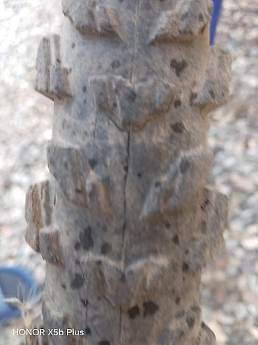 Электровелосипеды: Двухколесные Детский велосипед Stels, 20", скоростей: 1 — 2