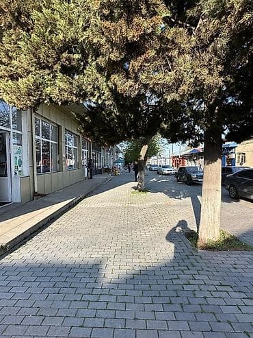 otel kiraye: İcarəyə verilir – vitrinli kommersiya sahəsi - Təyinat: mağaza, ofis — 3