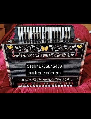 tutacaqlar: Akustik Akkordeon — 1