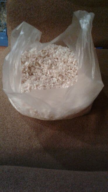 deniz donuzu: Xamyaklar hemsterler satilir qaralar 1 ededi 3 azn 2 eded alana 1 — 27