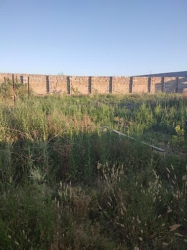 məhəmməd: Mehemmedli qesebesi zeytun bagiyla uzbe uz 8 soot kupcali torpaq — 2