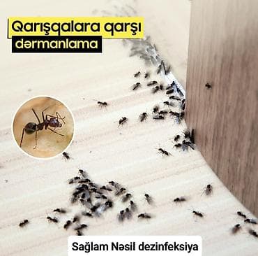 Ремонт техники: Дезинфекция, дезинсекция | Клопы, Блохи, Тараканы | Офисы, Квартиры, Дома — 2