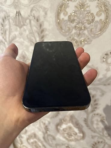 magic 6 pro: IPhone 13 Pro Max, 256 GB — 3