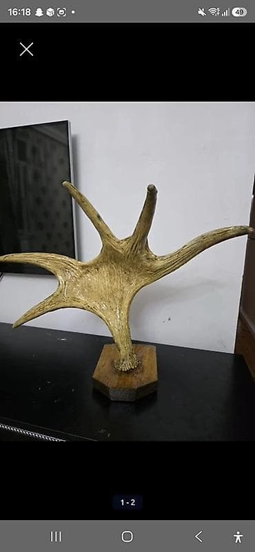 at figurları: Fiqur, rəng - Qızılı — 1