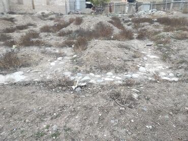 zavod: 4 sot, Tikinti, Mülkiyyətçi — 4