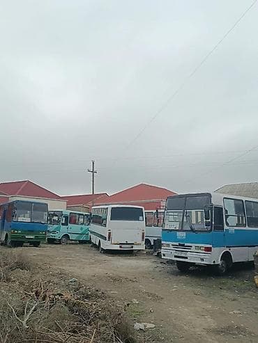 iş elanar: Satılır: Kiçik/orta tutumlu şəhər daxili marşrut avtobusları Məhsul — 10