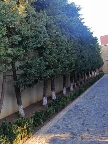 работа уборщицы на неполный рабочий день: Salam aleykum Adim Sahib 44yaşim var Bakıda yaşayiram Baki etrafi — 21