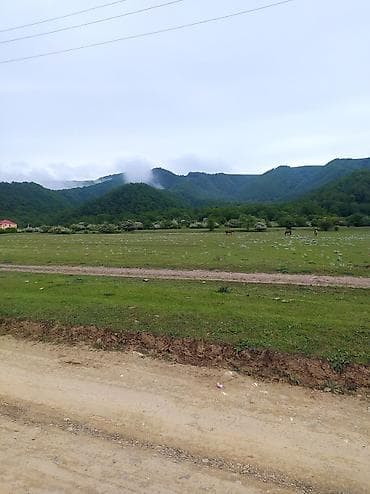 torpaq satış: 50 sot, Mülkiyyətçi, Kupça (Çıxarış) — 2