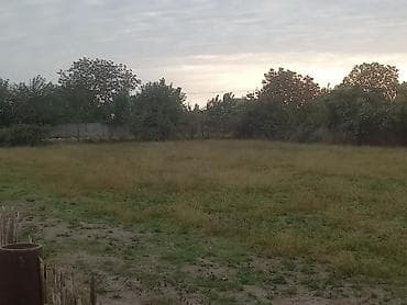 memar ecemi: 24 sot, Tikinti, Maklerlər narahat etməsin, Kupça (Çıxarış) — 4