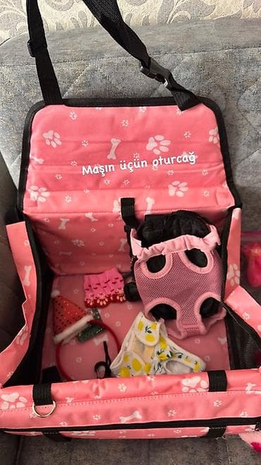 sharm: Ev heyvanları üçün tam aksesuar dəsti - Avtomobil üçün it/piar üçün — 3