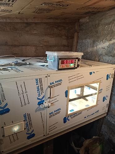 inkubatora: Yumurta inkubatoru – tam avtomatik idarəetmə ilə Məhsul təsviri: - — 1