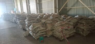 diffenbaxiya bitkisi: Məhsul: KARBAMİD (UREA) azot gübrəsi ve akumlyator ucun plastinka — 1