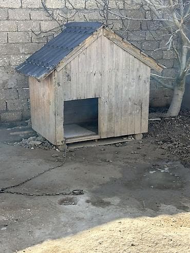 Taxta it evi - Material: qalın taxta karkas, üzəri taxta lövhələr -