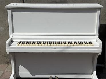 studiya mikrafonu: Ağ rəngli akustik upright pianino - Klassik vertikal korpus, sadə və — 8