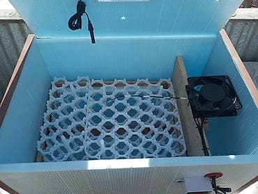 ALLAH hamının malına bereket versin,inkibatorumuz satışa hazırdır 120