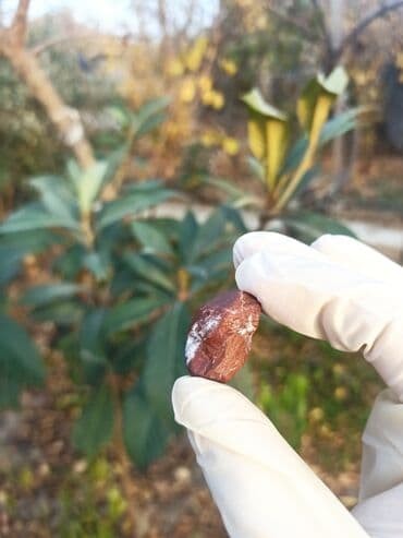 qızılın 1 qramının qiyməti 2022: 💎 Təbii JASPER Daşı😍 Qiymətlə bağlı maraqlananlar zəhmət olmasa — 15