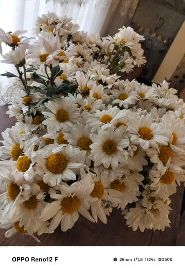 surucu isi axtariram: Xi̇rdalan erazi̇si̇nde gundeli̇k maas olan bi̇r i̇s i̇steyi̇rem.Ozum — 1