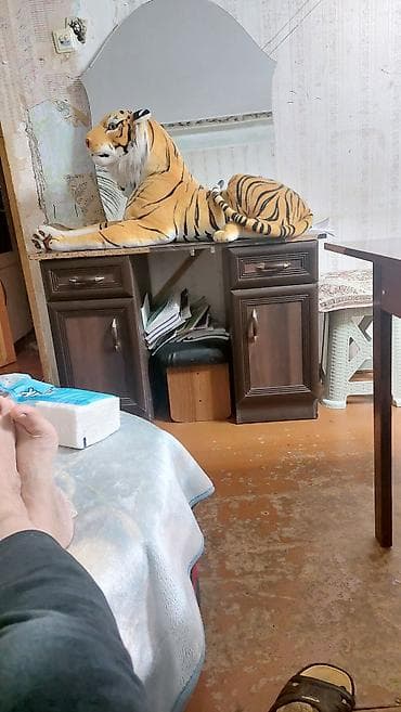 guzgu satisi: İşlənmiş, Taxta — 1