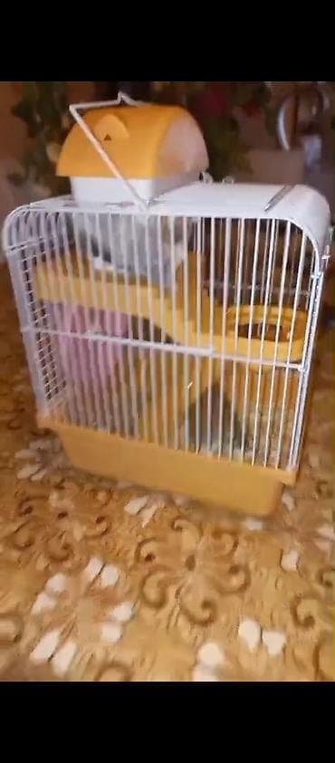 heyvan evleri: Hamster üçün tam dəst qəfəs - Material: möhkəm metal barmaqlıqlar — 2