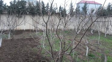 hovsan obyekt: Bakı, Novxanı, 480 kv. m, 7 otaqlı, Kanalizasiya, Kombi, Qaz — 29