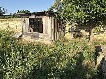 8 sot, Tikinti, Kupça (Çıxarış) — 5