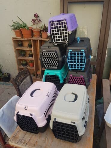 переноска для животных: 7eded dasima cantasi Turkiye istehsali prablemsiz yaxsi veziyetde 1i — 1