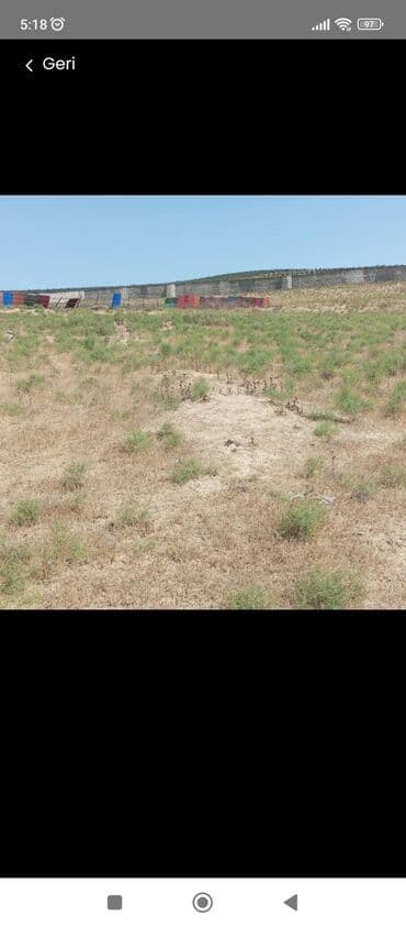 goradil torpaq satilir: 41 sot, Kənd təsərrüfatı, Mülkiyyətçi, Kupça (Çıxarış) — 7