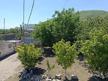 torpaq satilir: Kənd təsərrüfatı, Kupça (Çıxarış) — 2