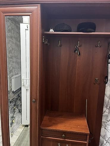 1 qapı, Güzgülü, Qəhvəyi, Digər material, Açılan, Düz dolab