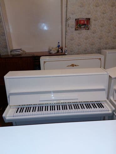 yamaha piano qiymeti: Pianino PETROF Cexiya stehsalı. İdeal vəziyyədə. Cadrılma və köklənmə — 4