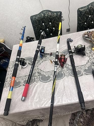 sarı led: Balıqçılıq dəsti – teleskopik qamışlar və makinalar Məhsul təsviri: - — 1