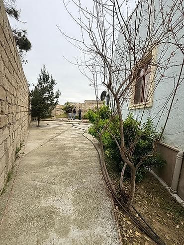 gencede kiraye evler 2020: Nardaran qəs. 3 otaqlı, 140 kv. m, Kredit yoxdur, Yeni təmirli — 1