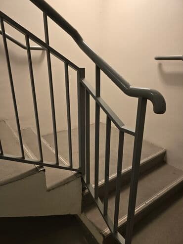 ev dam örtükləri: Hər növ məhəccər qoruqluq perilla — 5