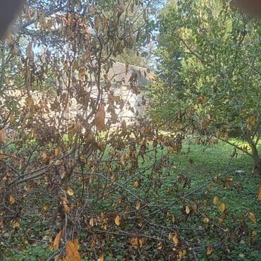 что такое şahdağ i̇stirahət evi nabran: Продается Дом Набрани. Центральная улица за отелем Сансет Форест.Дом 4 — 14