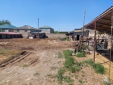 arenda donər evi: Mal-qaranın saxlanması üçün hazır ferma/binə kompleksi - Daş divarlı — 7