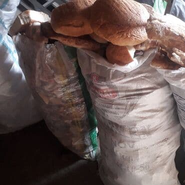 cuce ucun yem qablari: Yemlər — 1