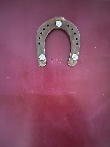 taxta gapi: Dəmir giriş qapısı – tam komplekt - Material: möhkəm metal — 2