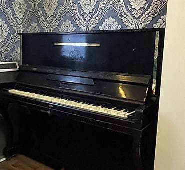 инстасамка концерт баку: Пианино, Беларусь, Акустический, Б/у, Самовывоз — 4