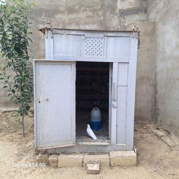 göyərçin yuvaları: Metaldan hazırlanmış göyərçin yuvası/volyer kabini - Material: möhkəm — 4